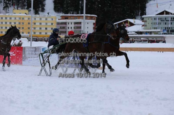 ET0Q0605 prot